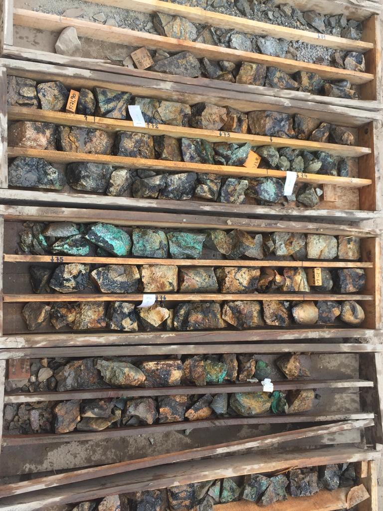 Drill core sample from Los Azules-Q’Inti