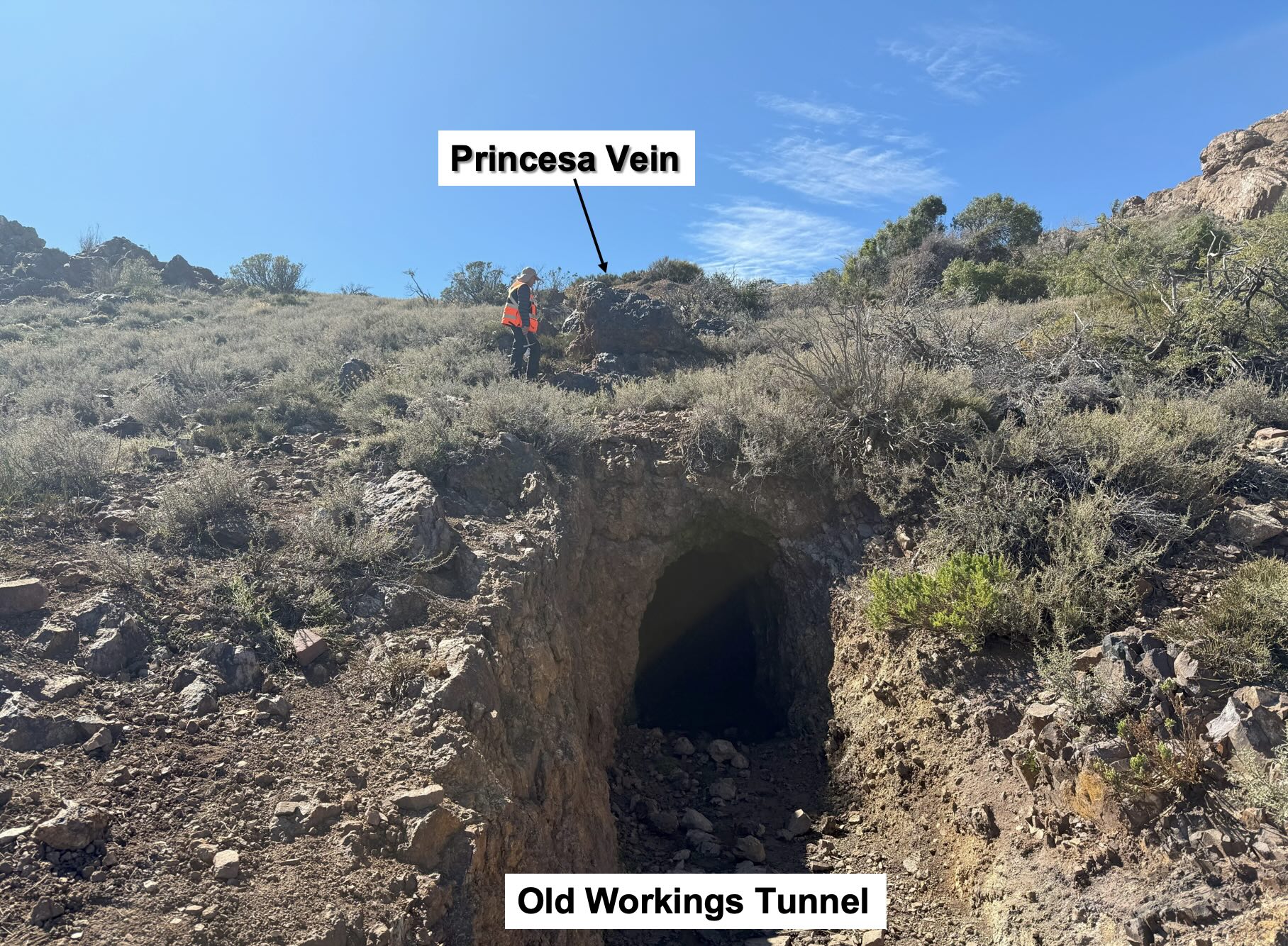 Princesa Lara project, Chile