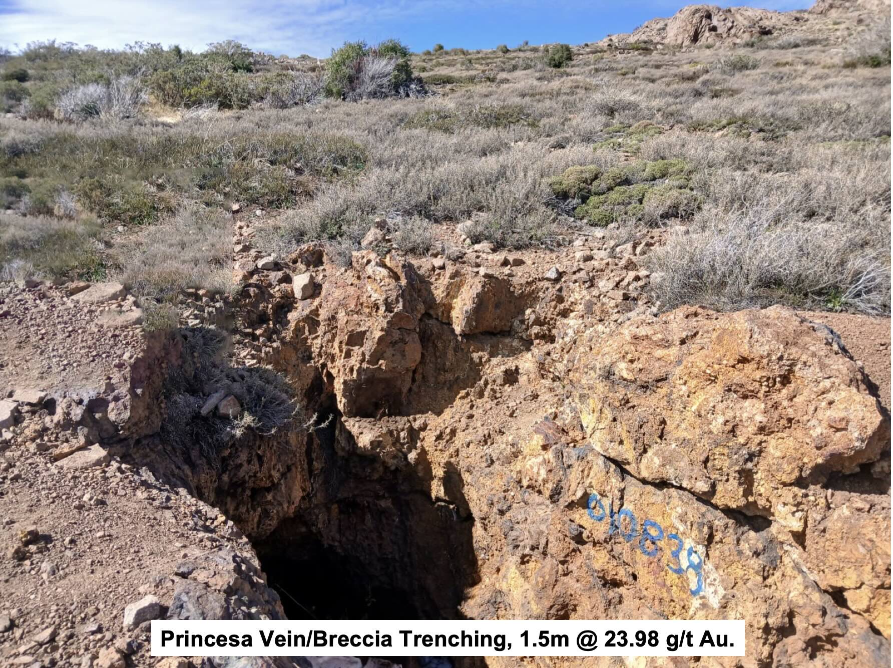 Princesa Lara project, Chile