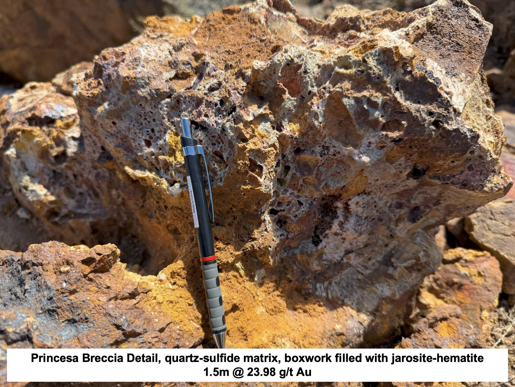 Princesa Lara project, Chile