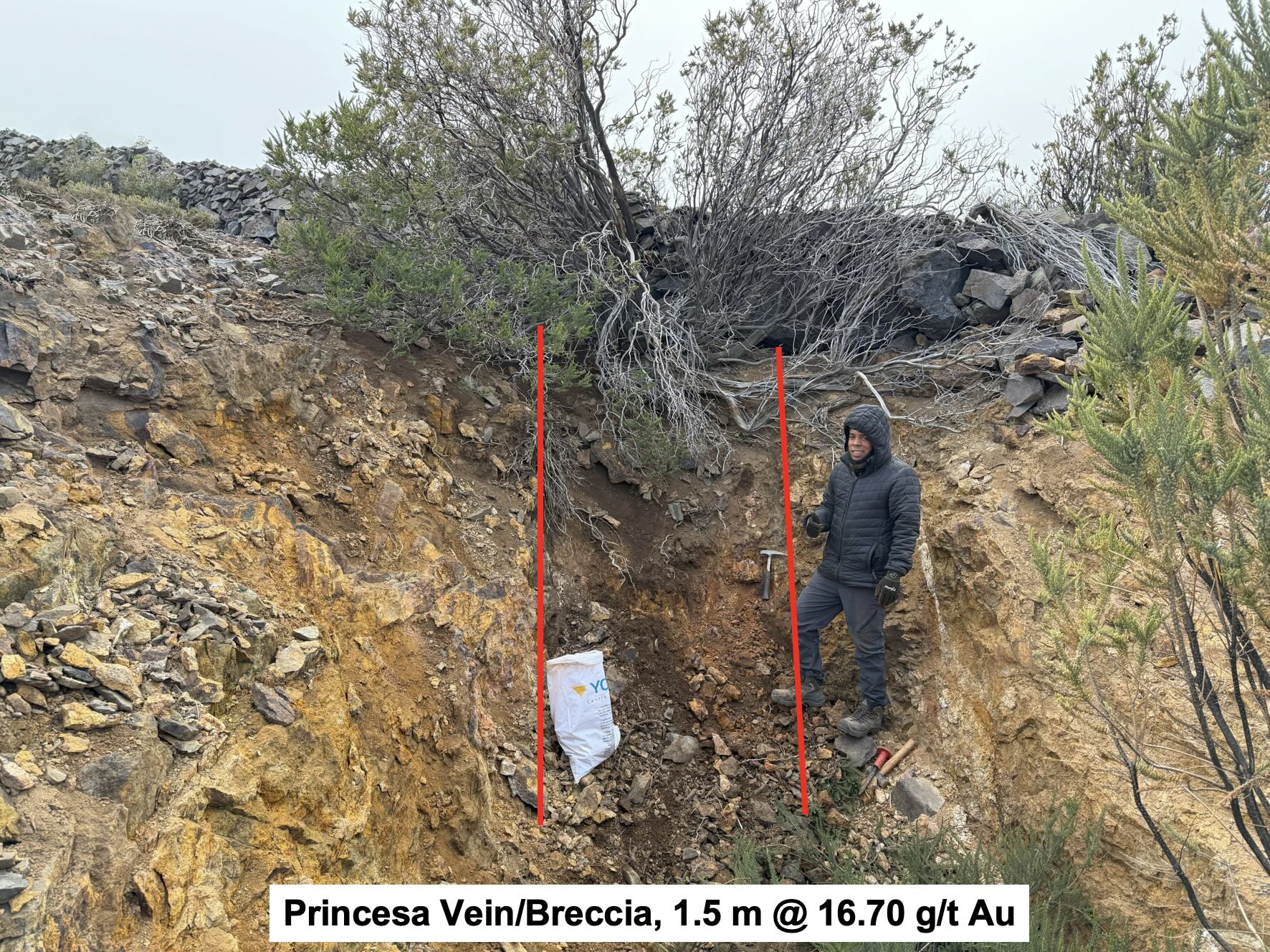 Princesa Lara project, Chile