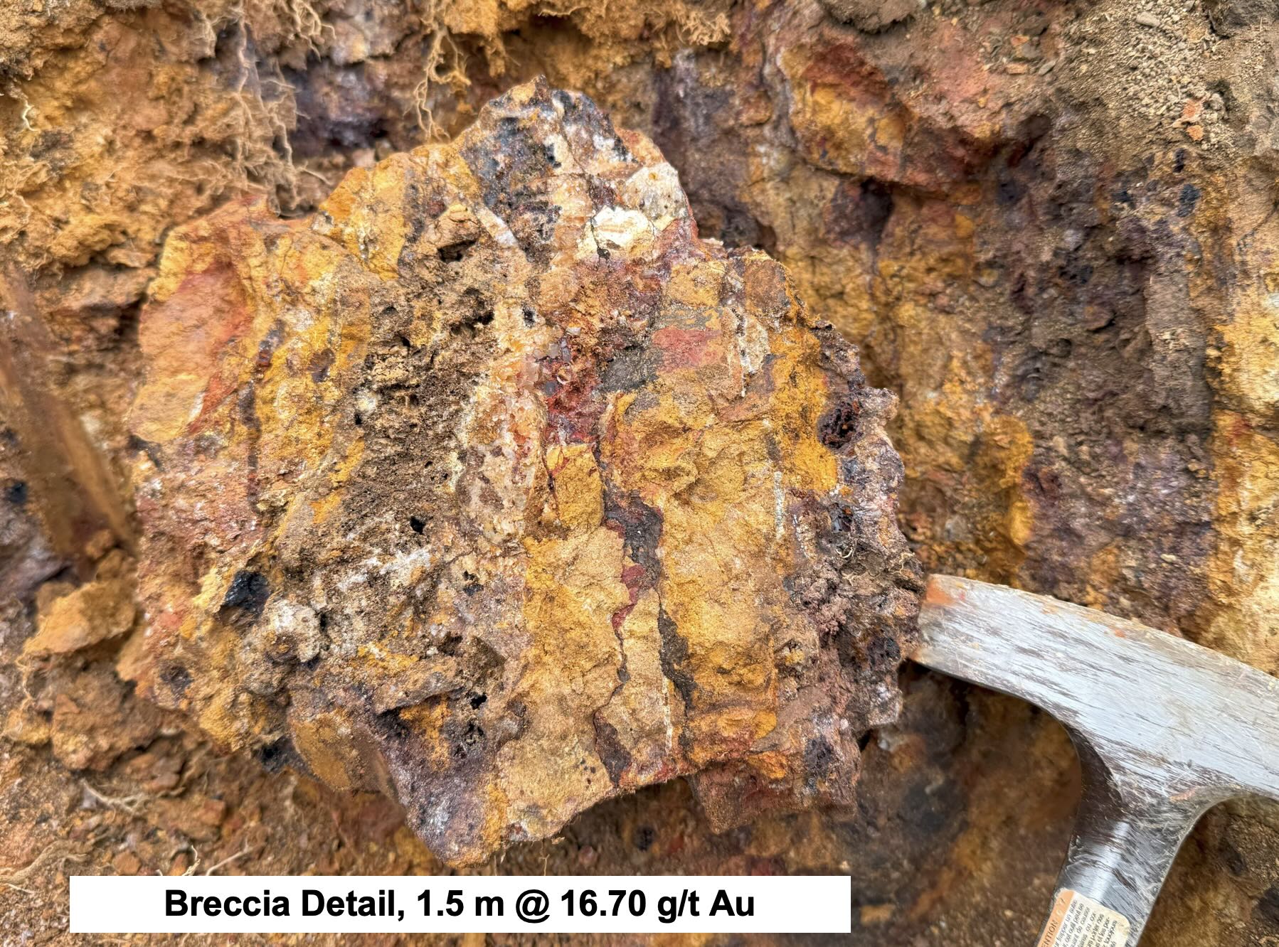 Princesa Lara project, Chile