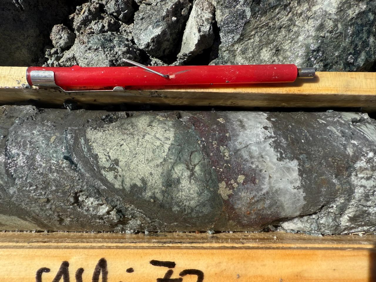 Drill core from Princesa Lara showing sulfide mineralization